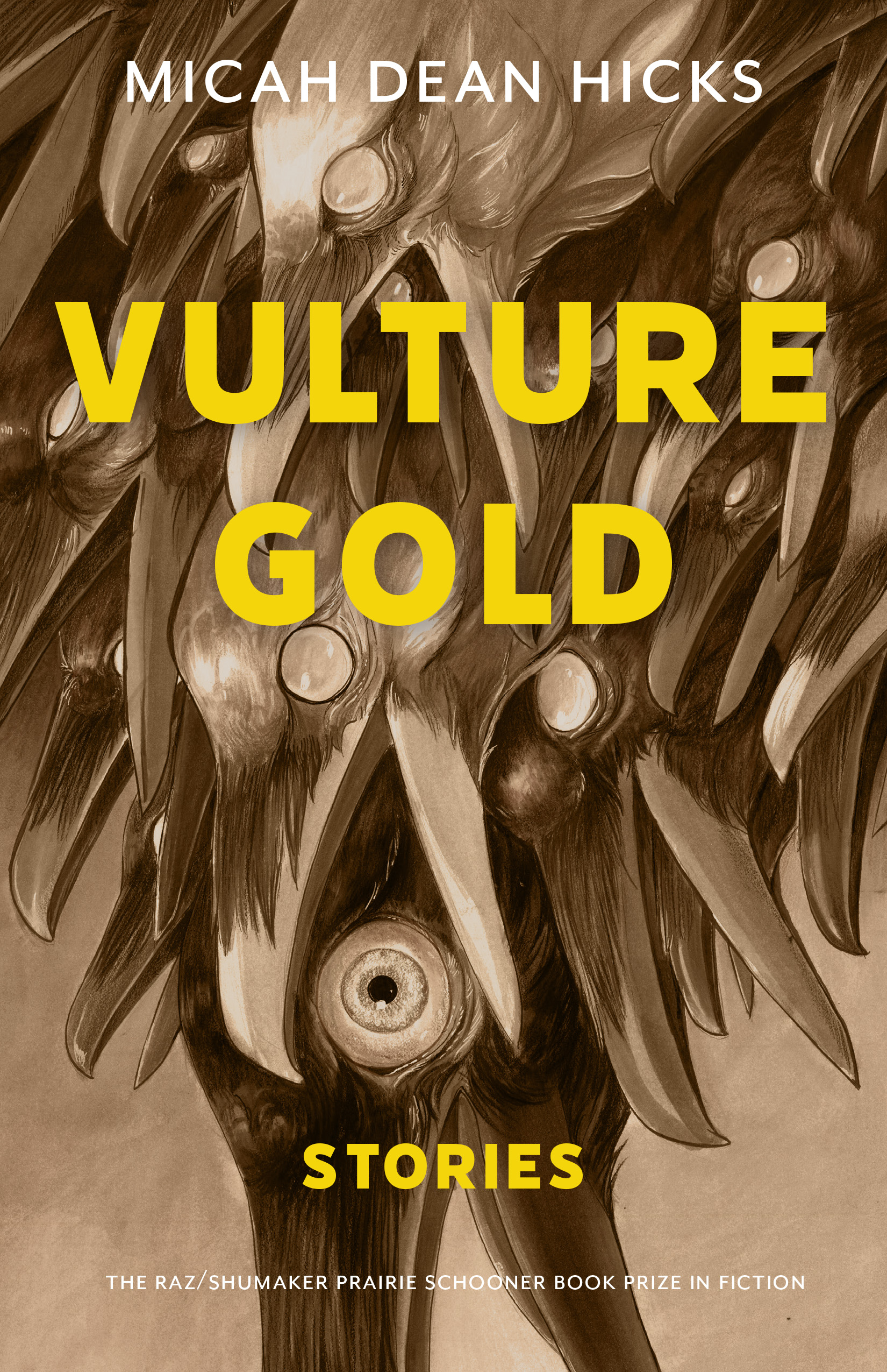 Cover image for Vulture Gold showing a flock of birds descending. 